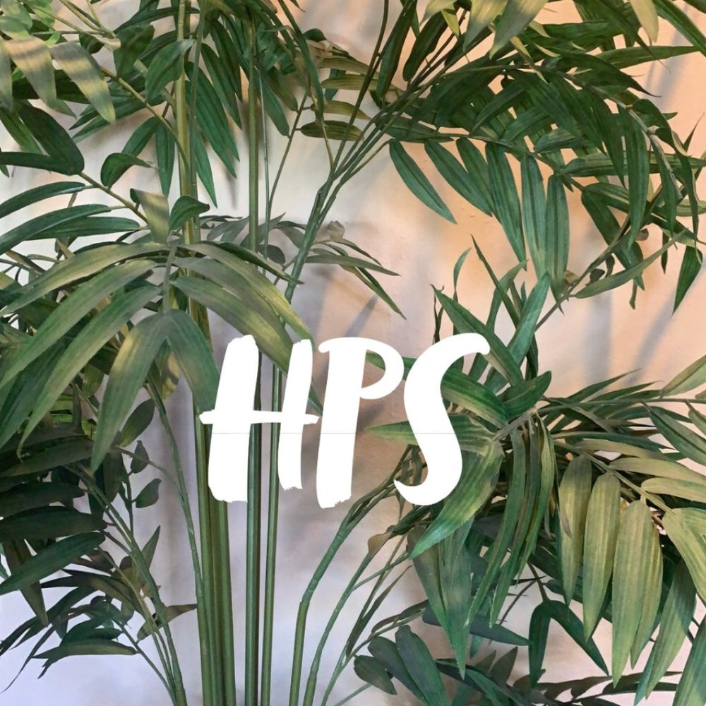 Meet your Posher, Holly